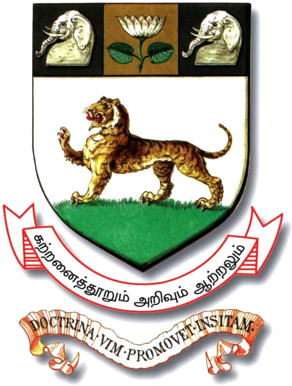Madras University official transcript service